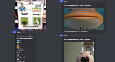 A Discord bot than open a gate allowing you to send an image to a random guild and to see the reactions they add to it