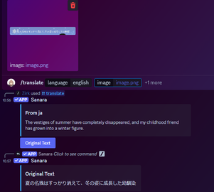 Example of 'translate' command by passing an image